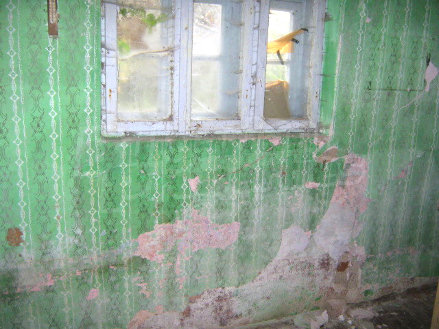 Gallery Picture 4