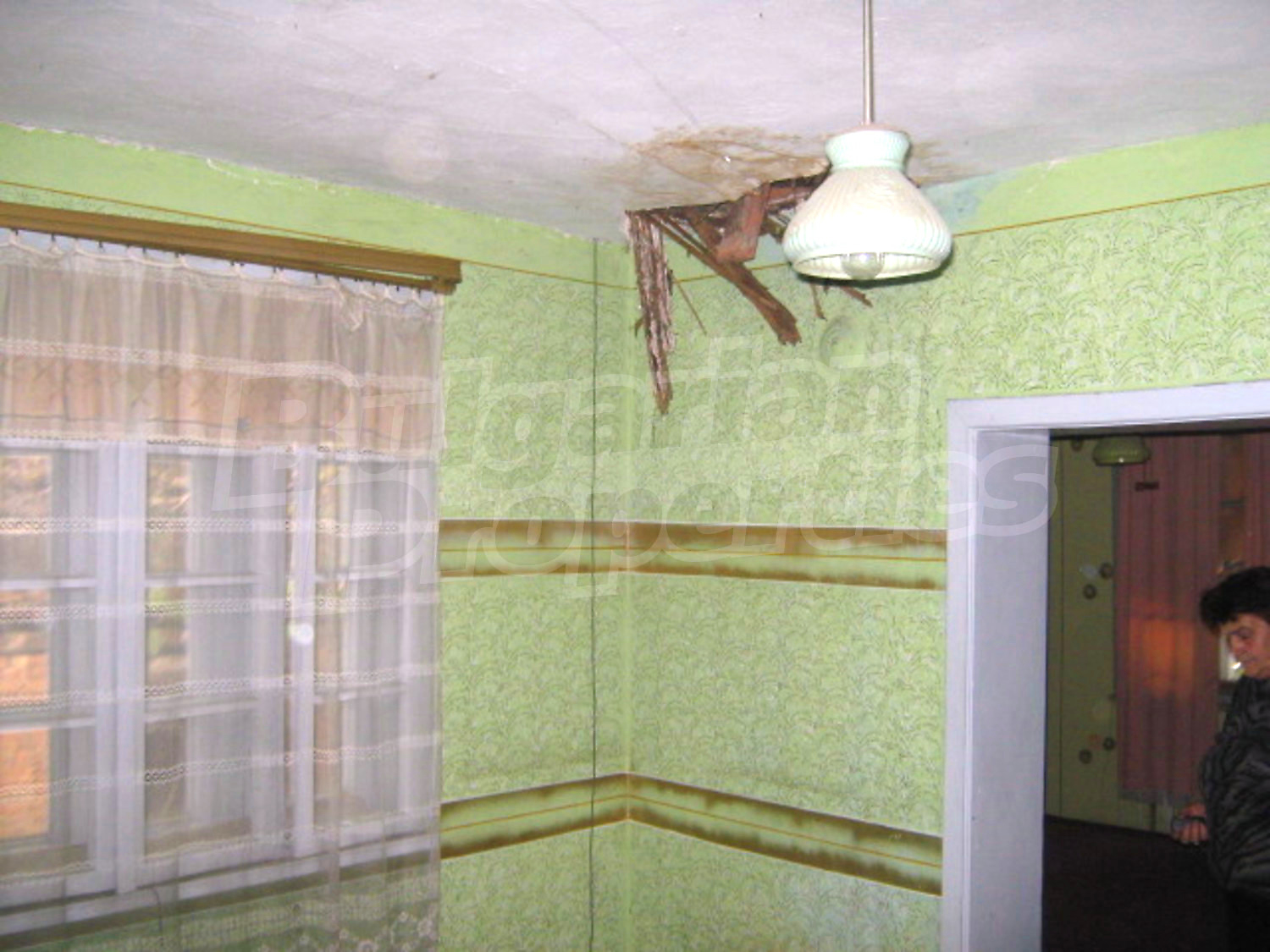Gallery Picture 6