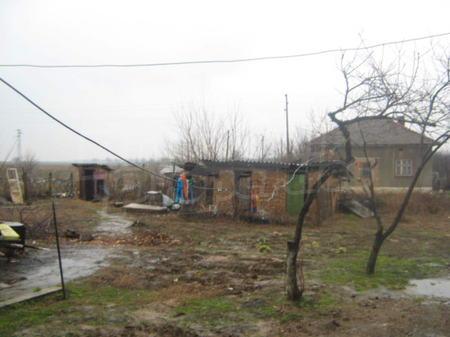 Gallery Picture 10
