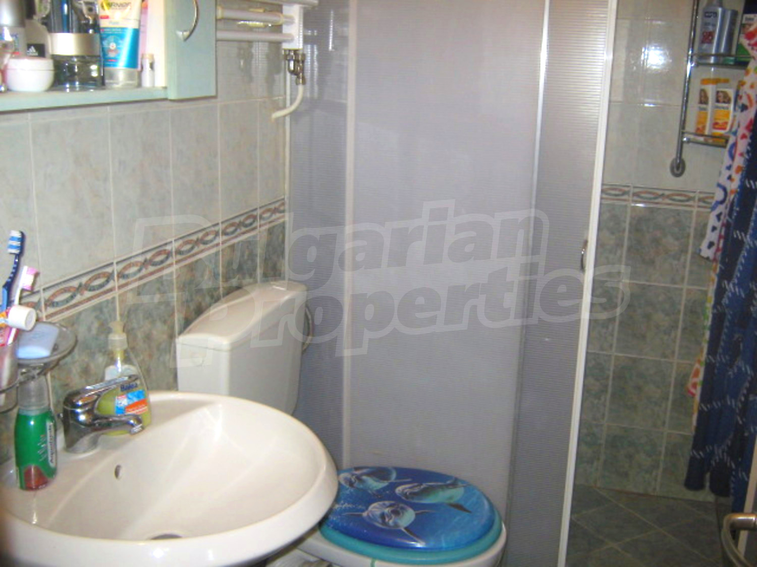 Gallery Picture 10