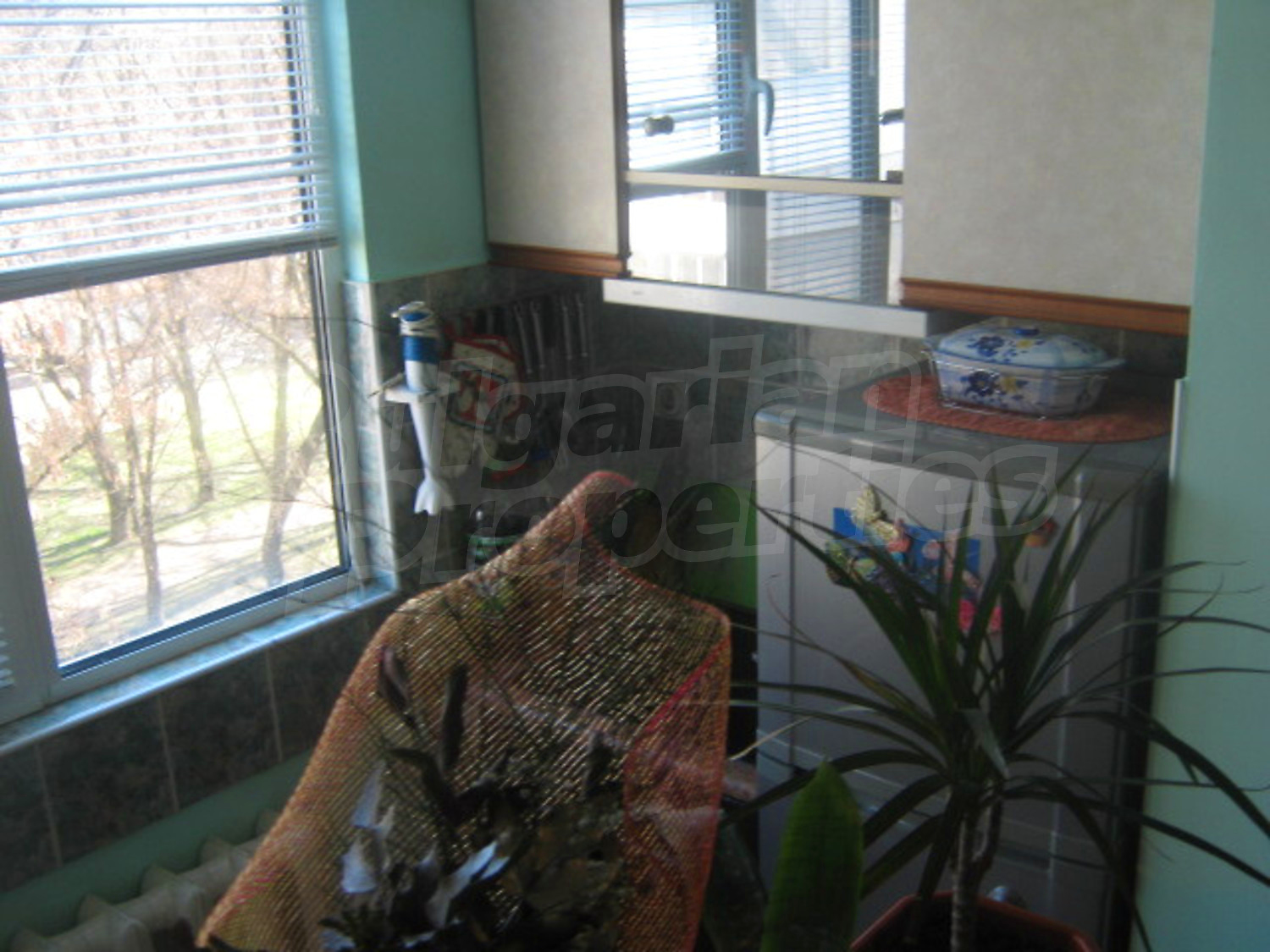 Gallery Picture 6