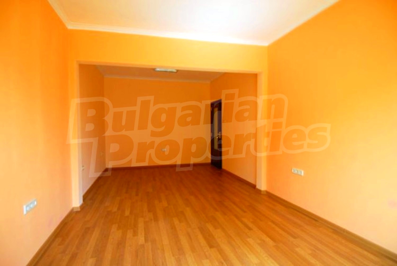 Gallery Picture 2