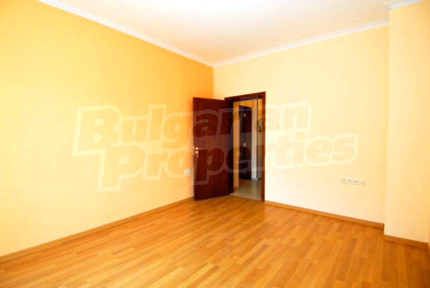 Gallery Picture 5