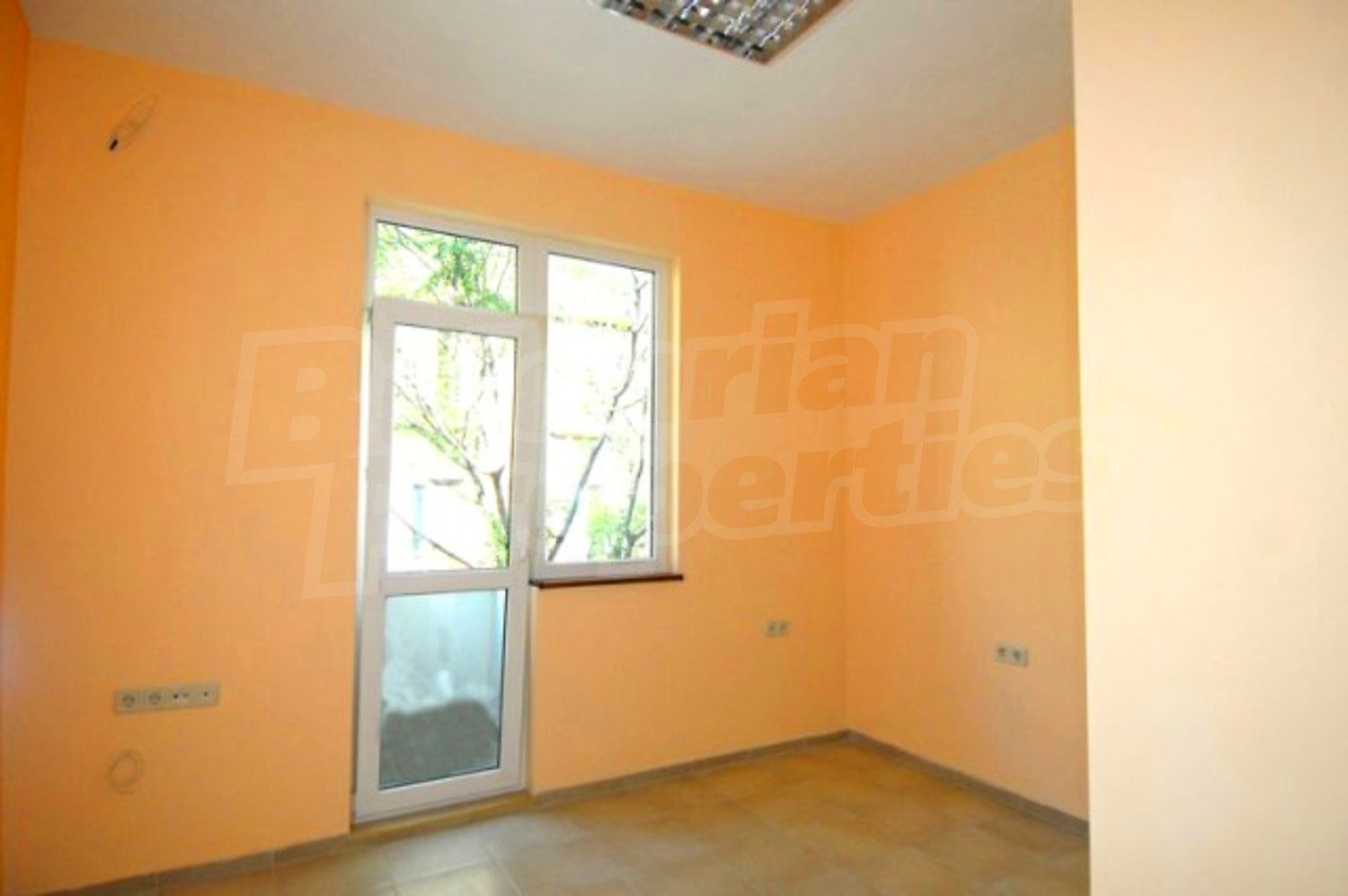 Gallery Picture 6