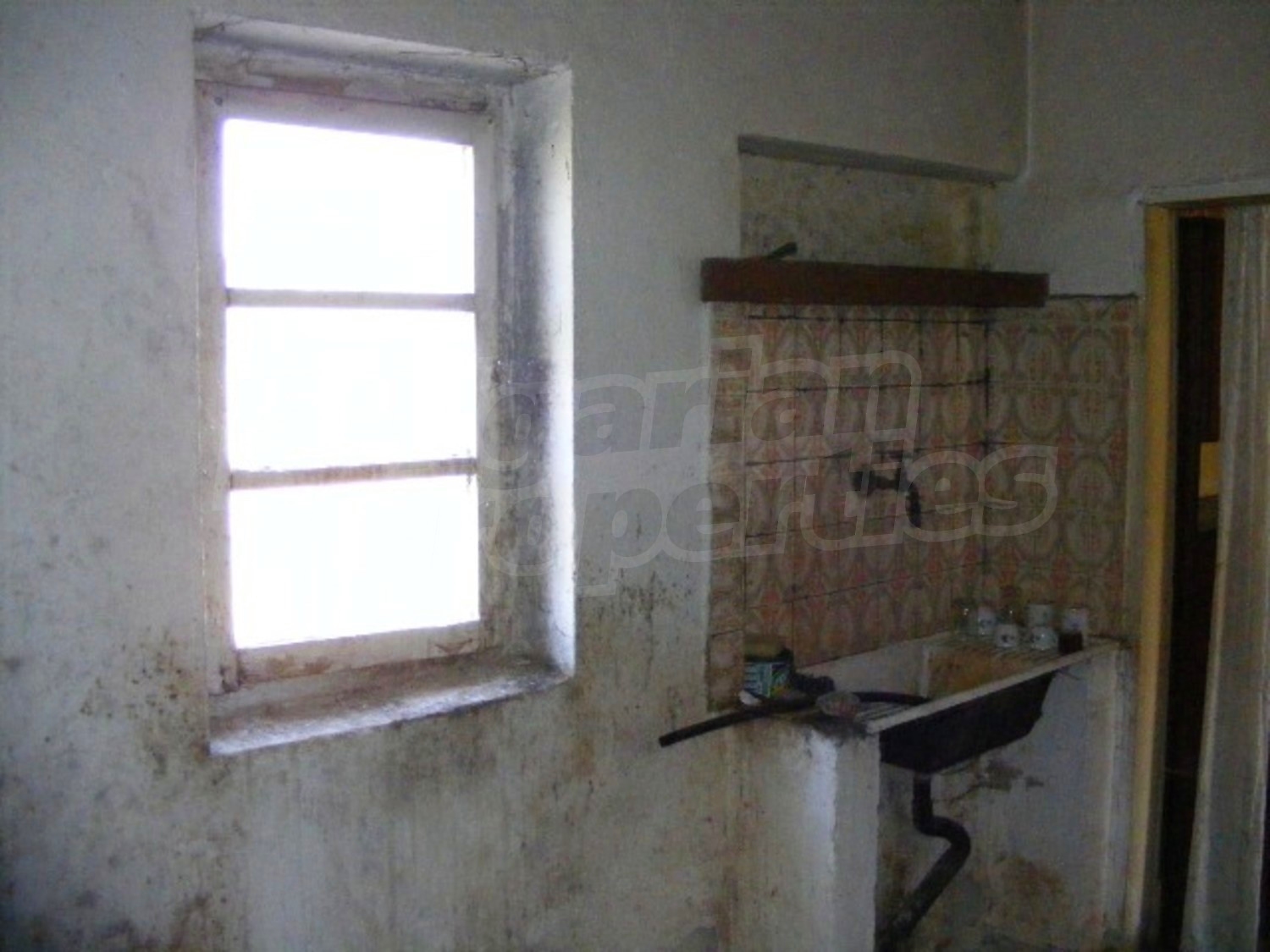 Gallery Picture 14