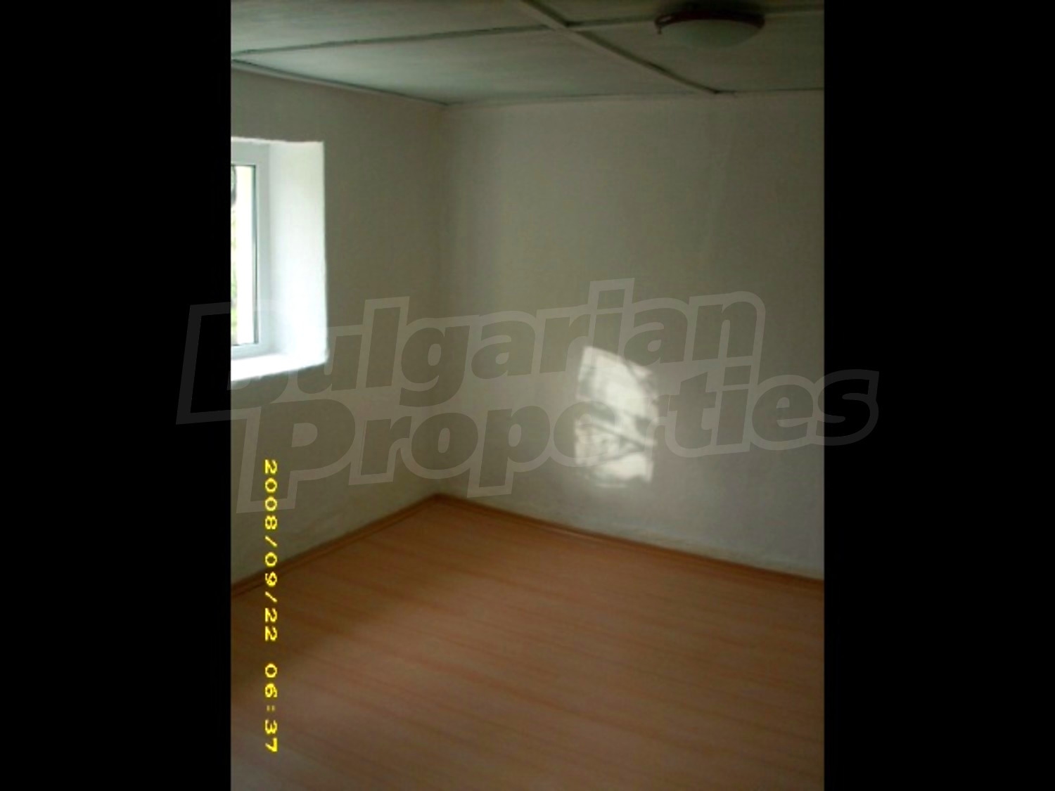 Gallery Picture 13
