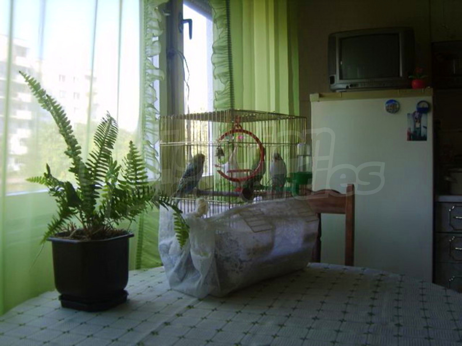 Gallery Picture 2
