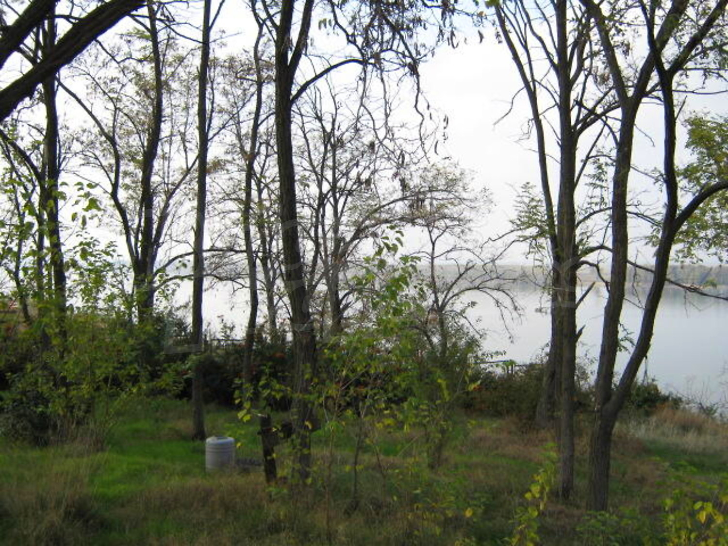Gallery Picture 10