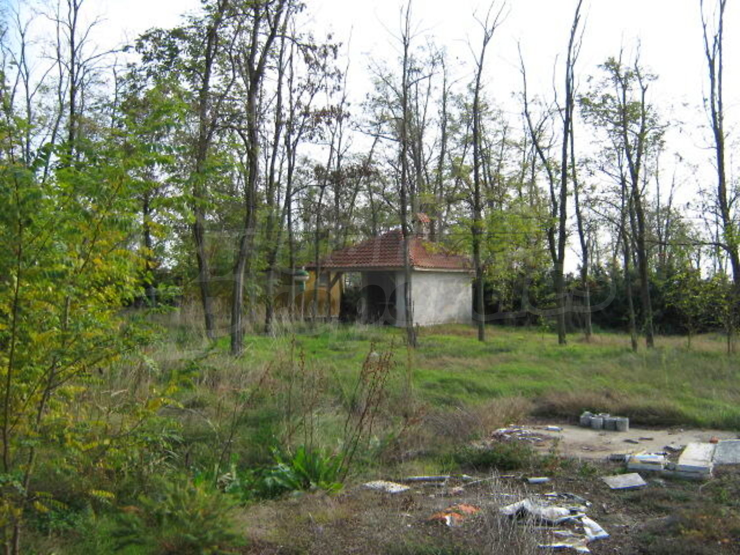 Gallery Picture 11