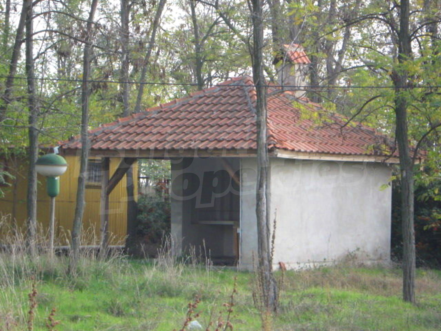 Gallery Picture 12