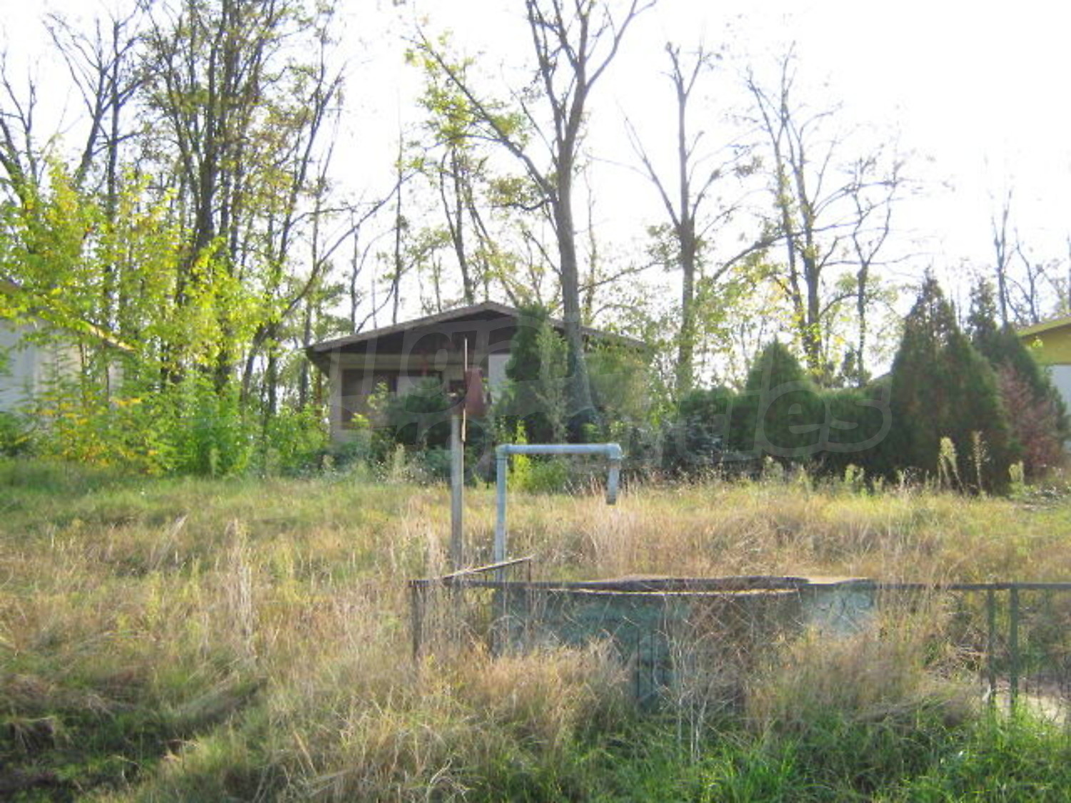 Gallery Picture 13