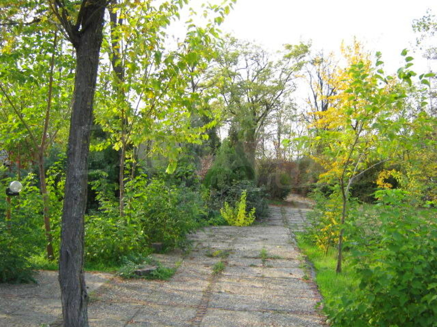 Gallery Picture 14