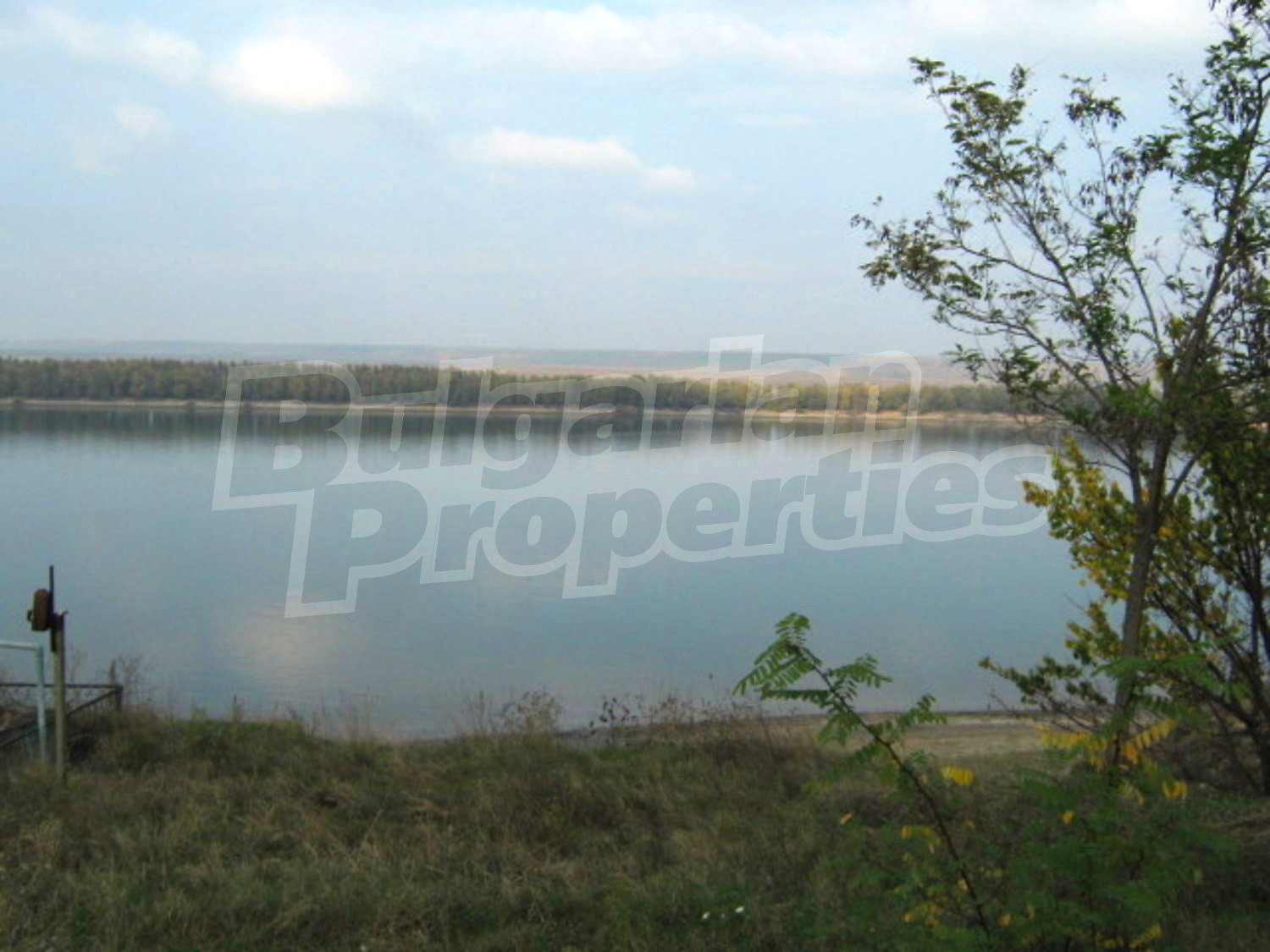 Gallery Picture 15