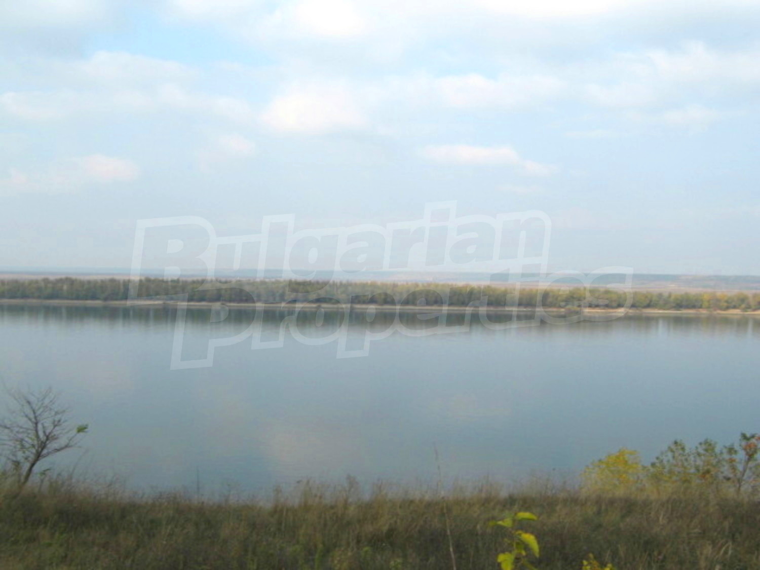 Gallery Picture 16