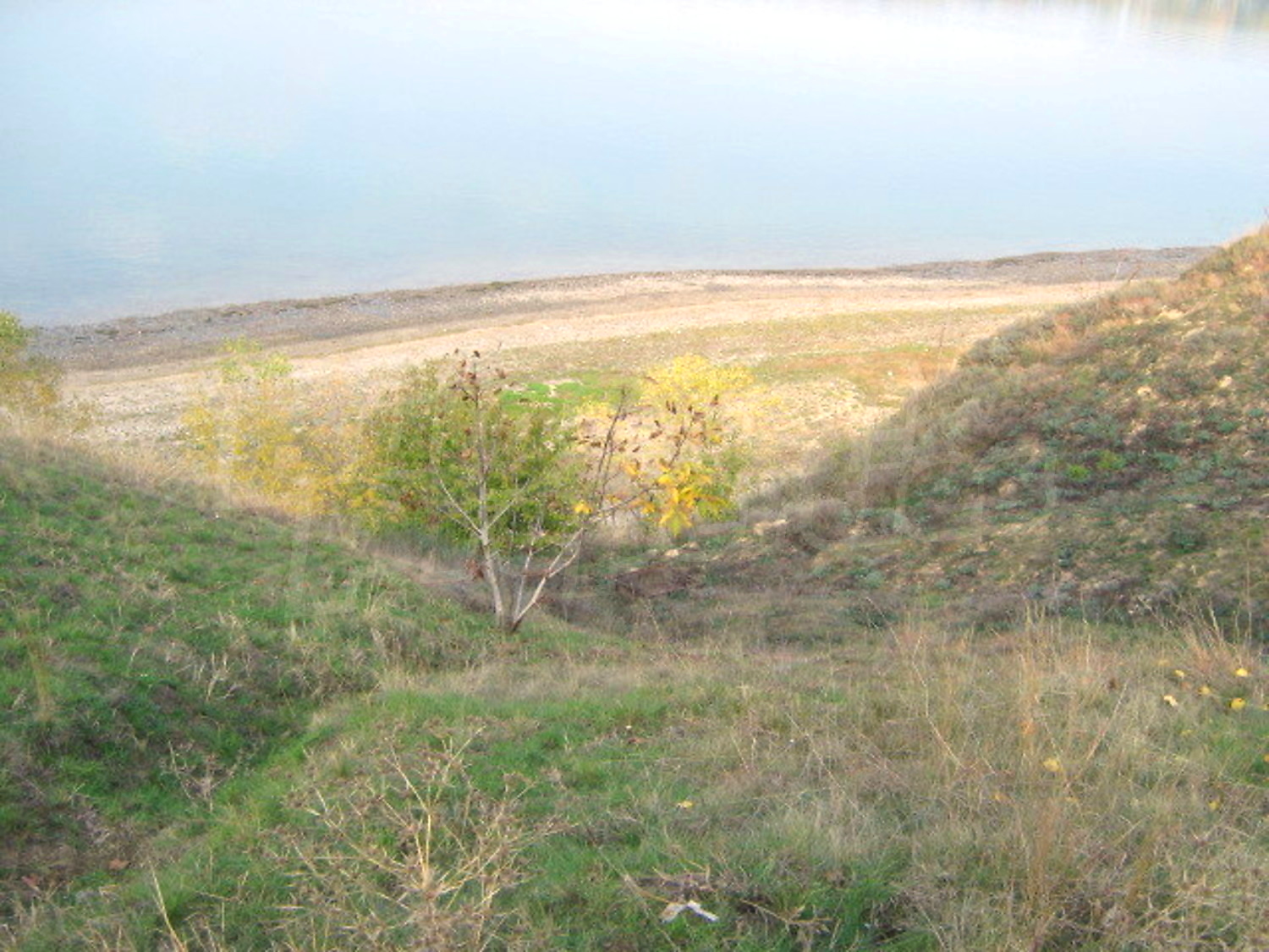 Gallery Picture 18