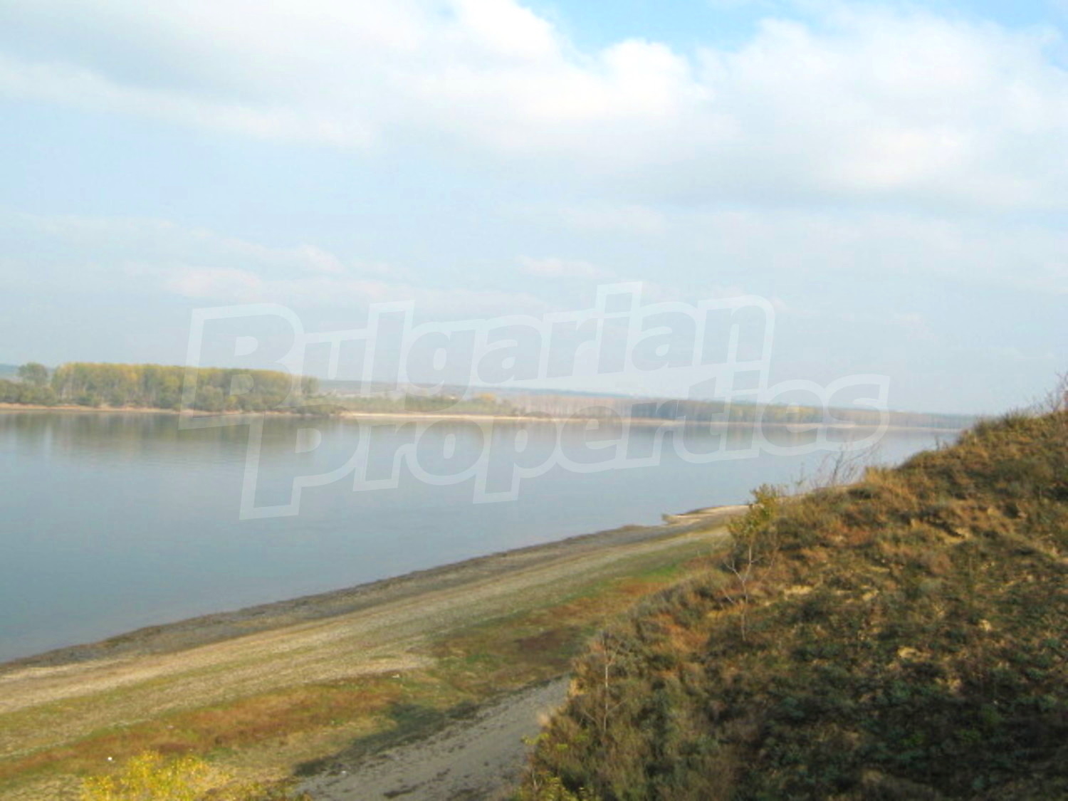 Gallery Picture 19