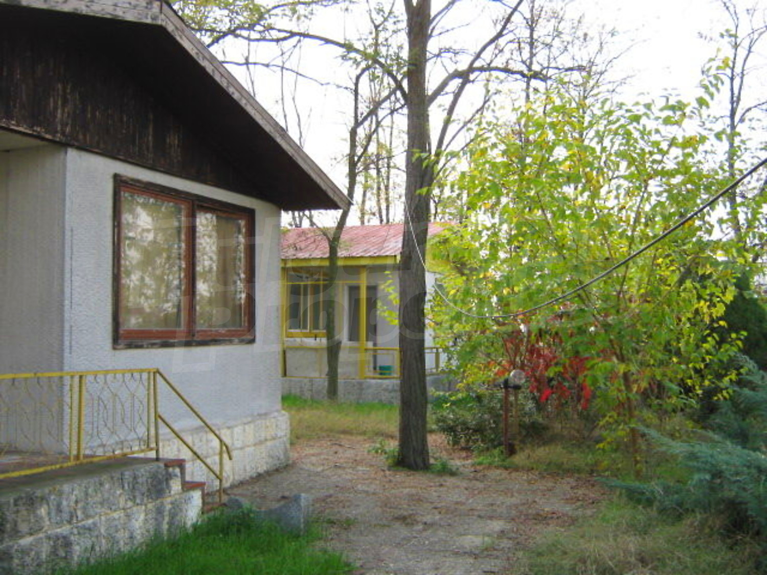 Gallery Picture 5
