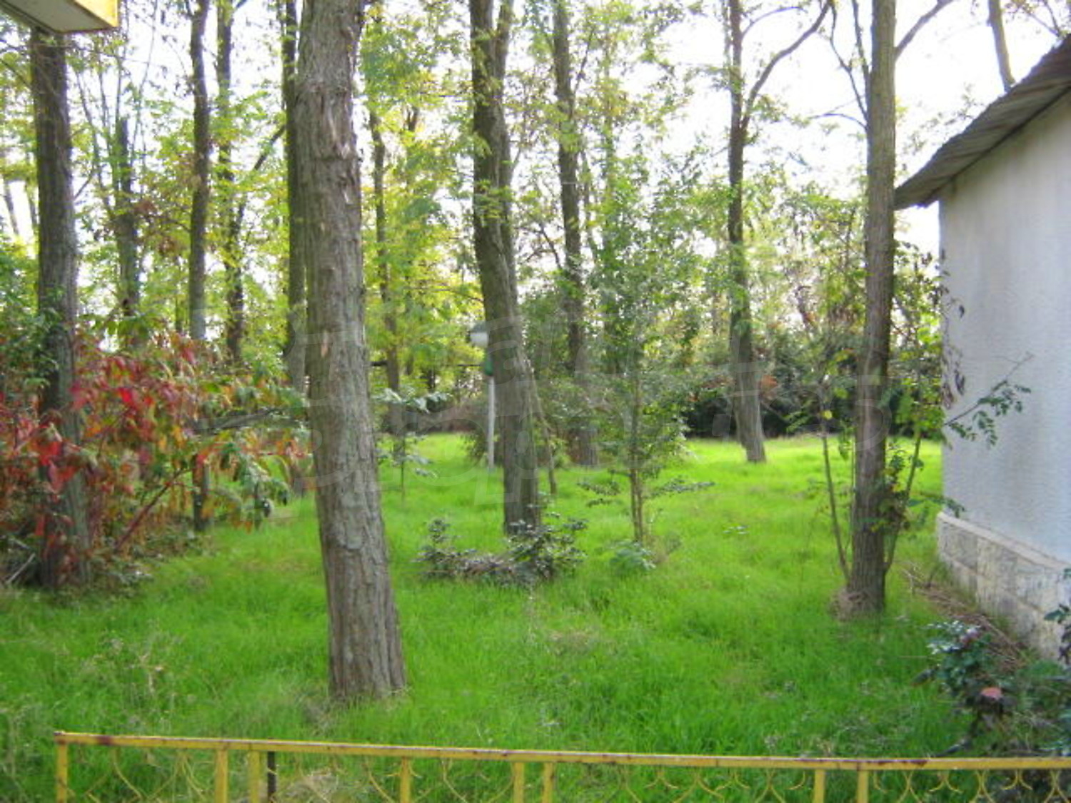 Gallery Picture 6