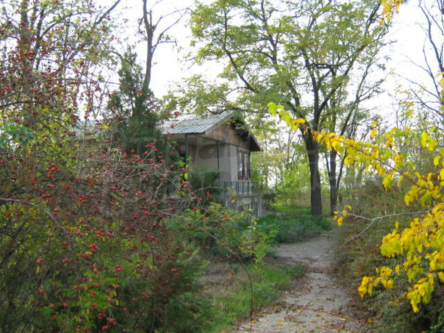 Gallery Picture 7