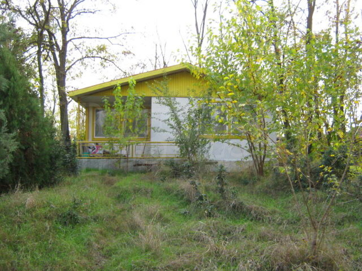 Gallery Picture 8