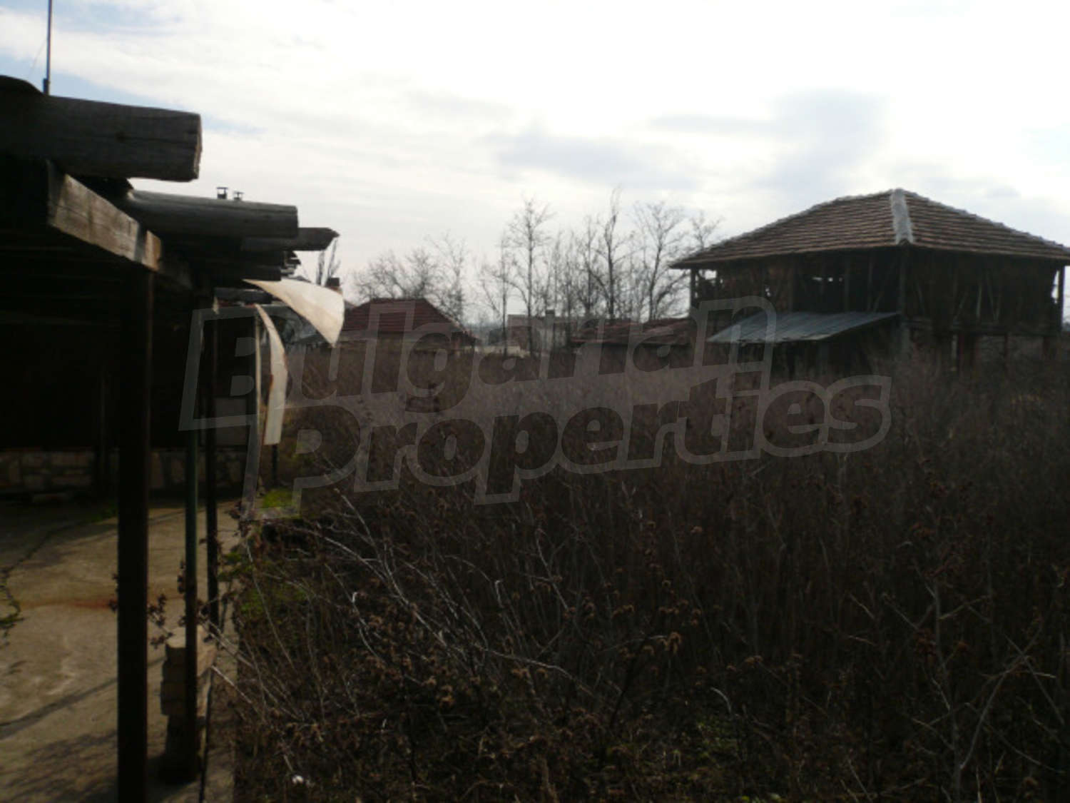Gallery Picture 11