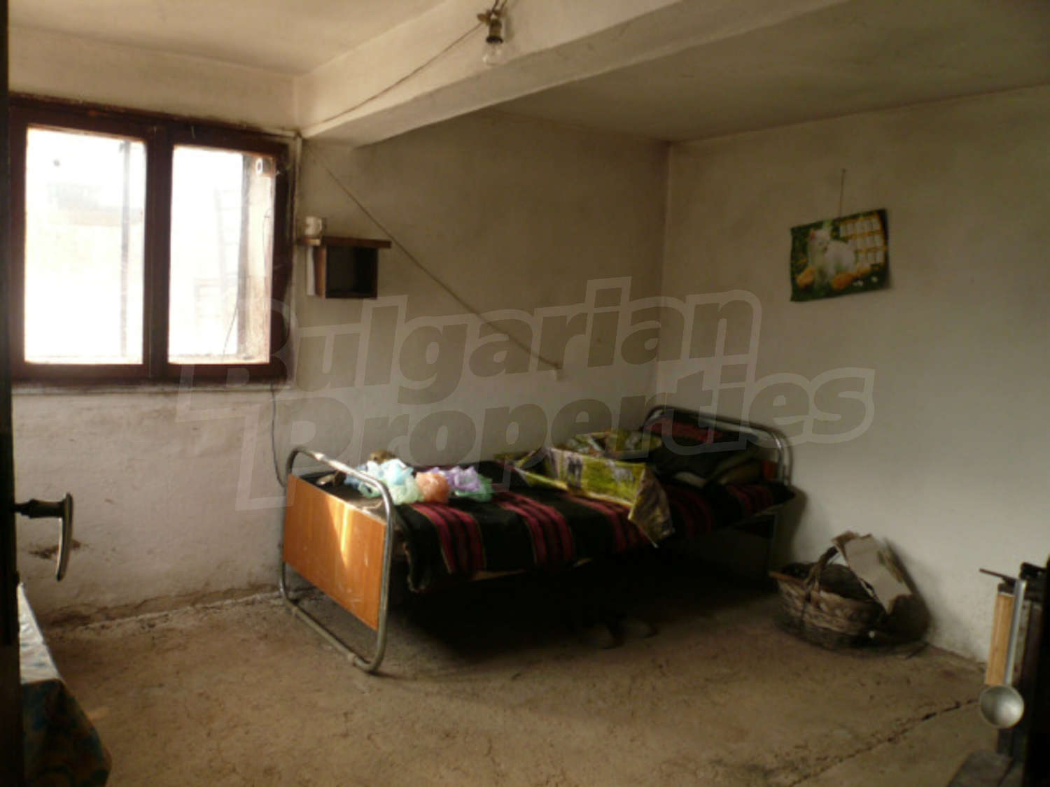 Gallery Picture 13