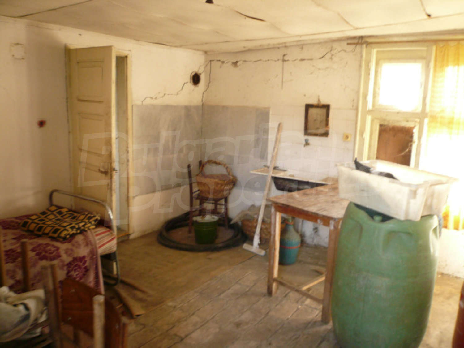 Gallery Picture 14