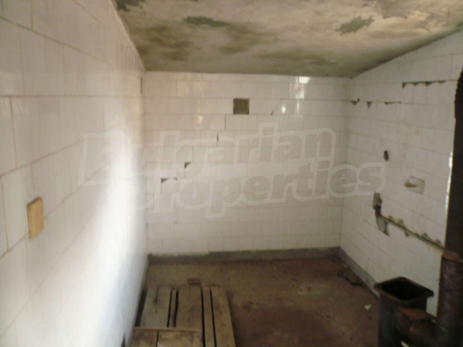 Gallery Picture 15