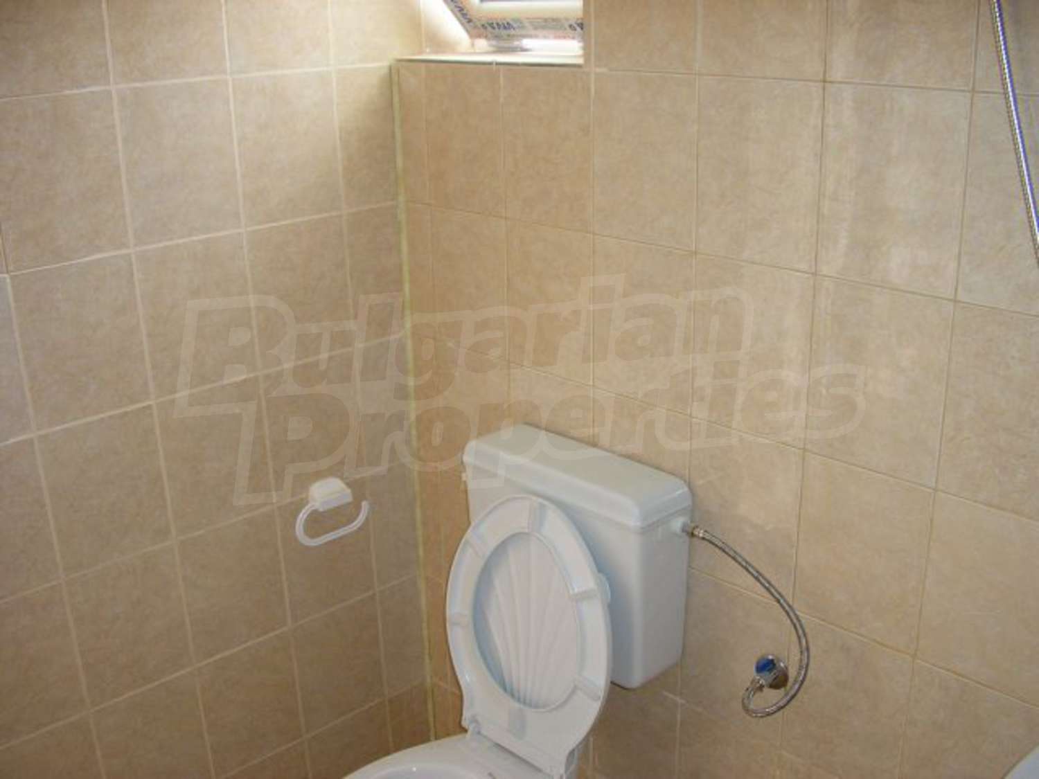 Gallery Picture 11