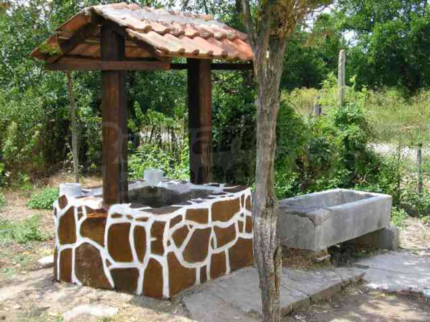 Gallery Picture 13