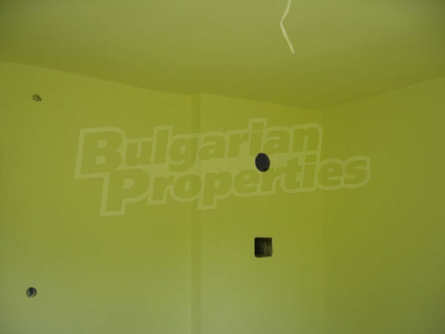 Gallery Picture 8