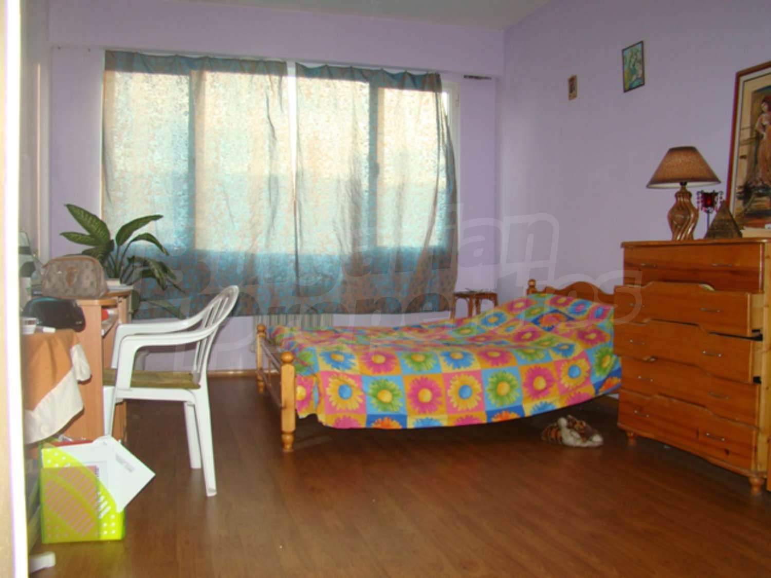 Gallery Picture 12