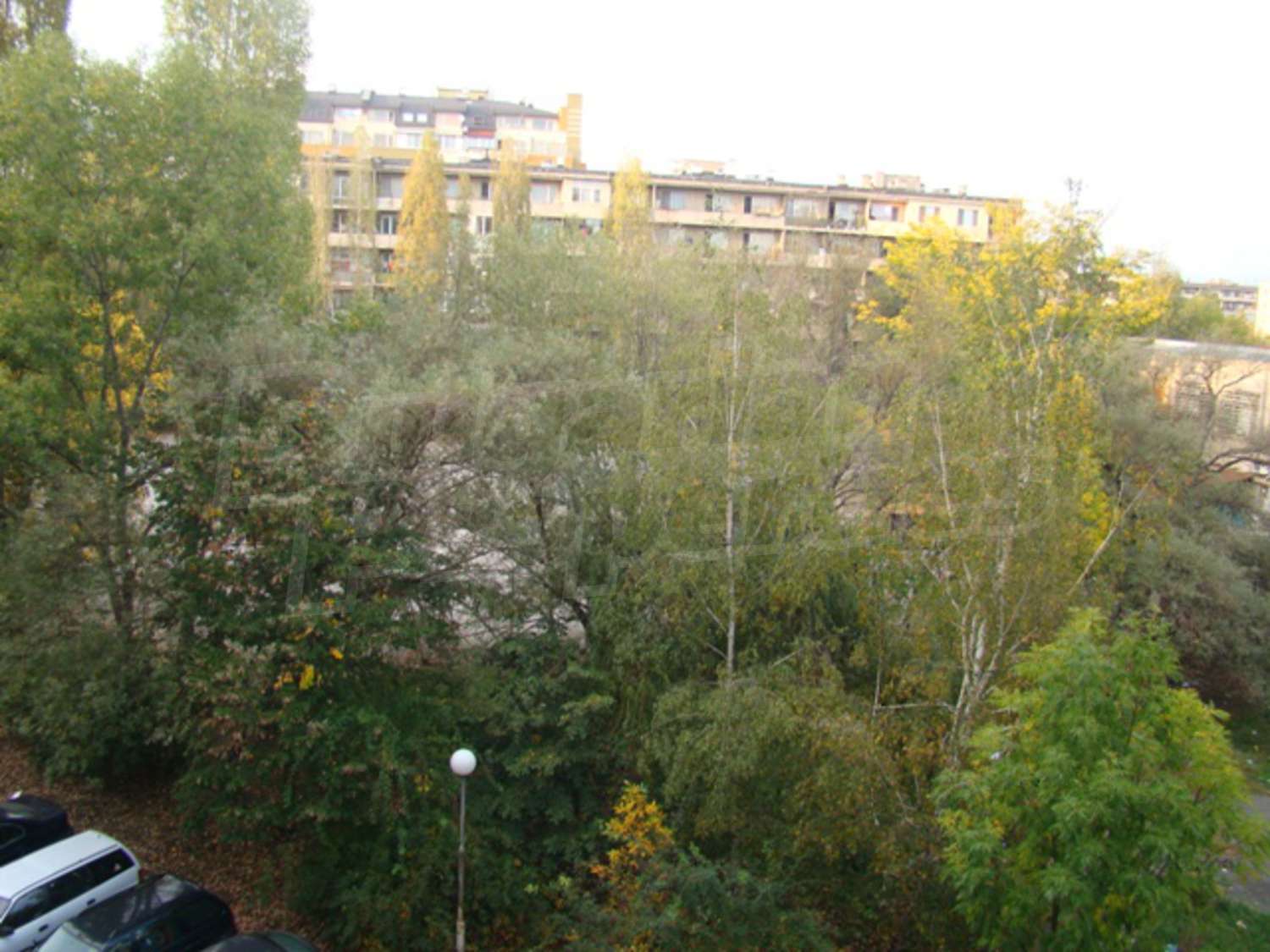 Gallery Picture 17