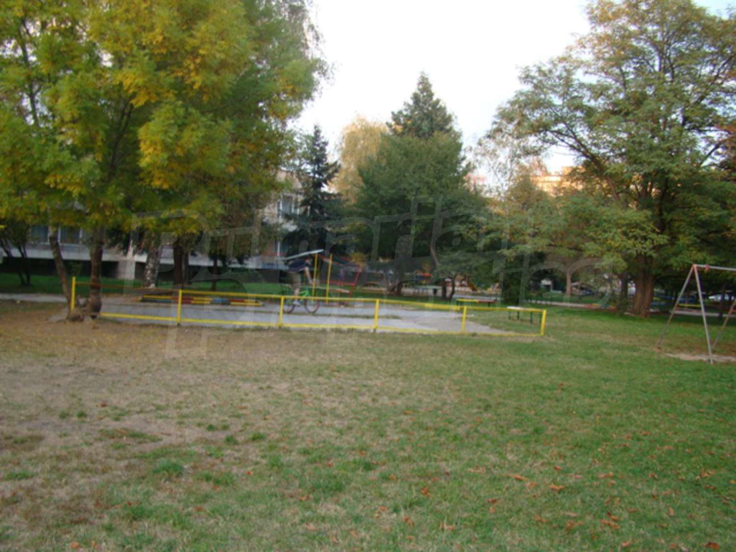 Gallery Picture 18
