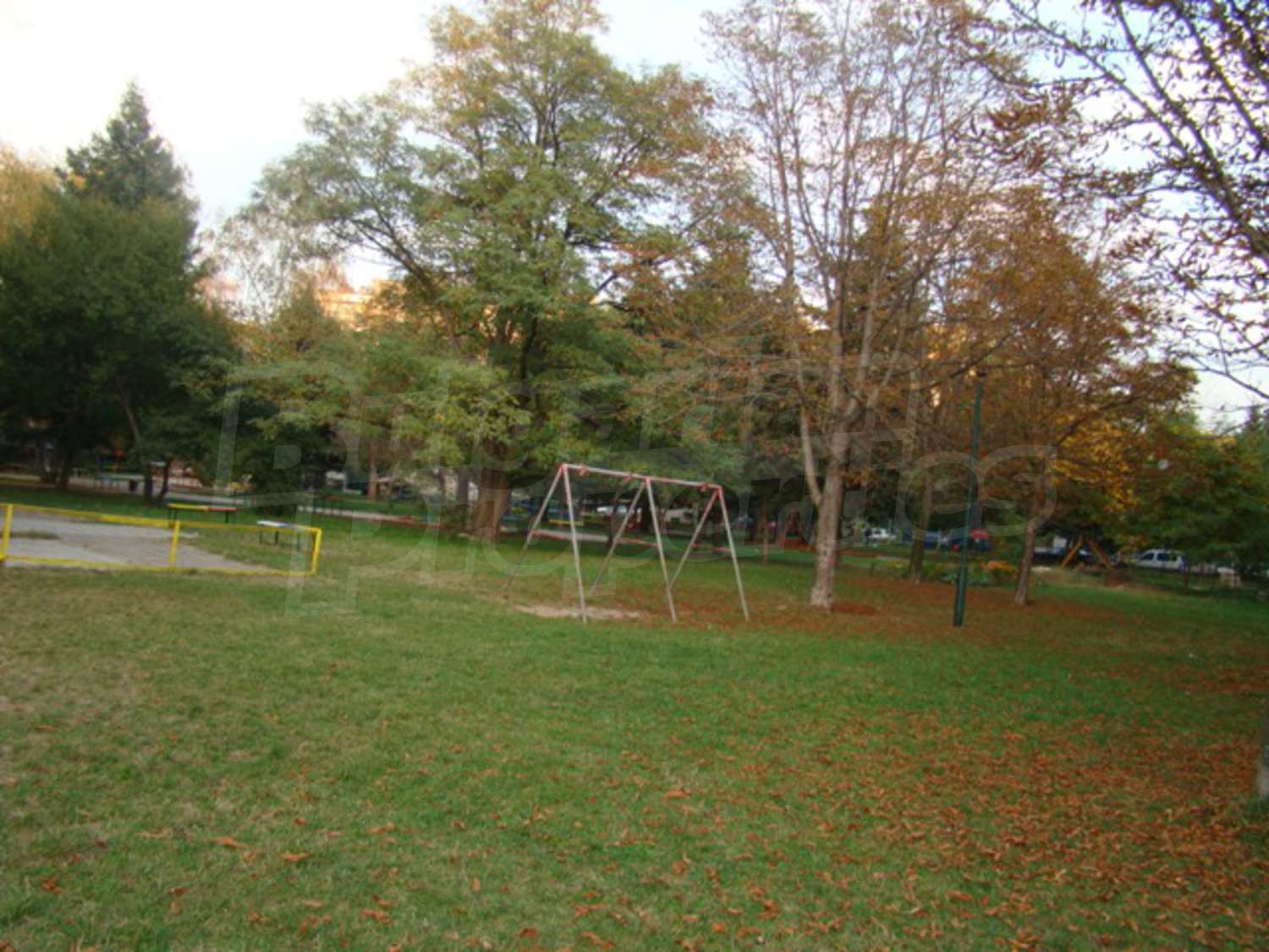 Gallery Picture 19