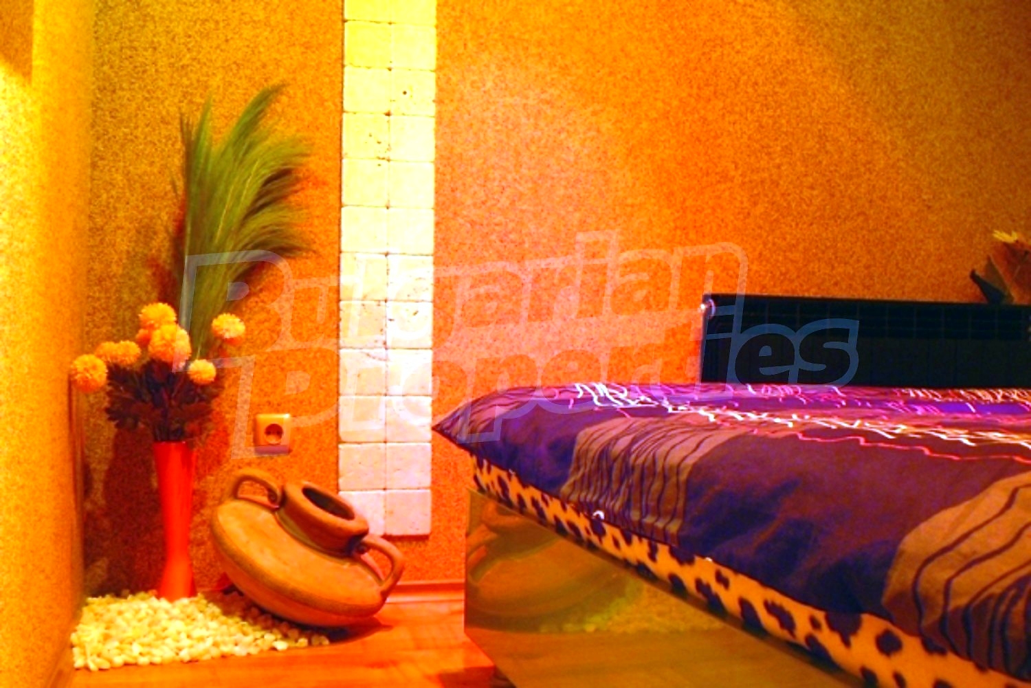 Gallery Picture 29