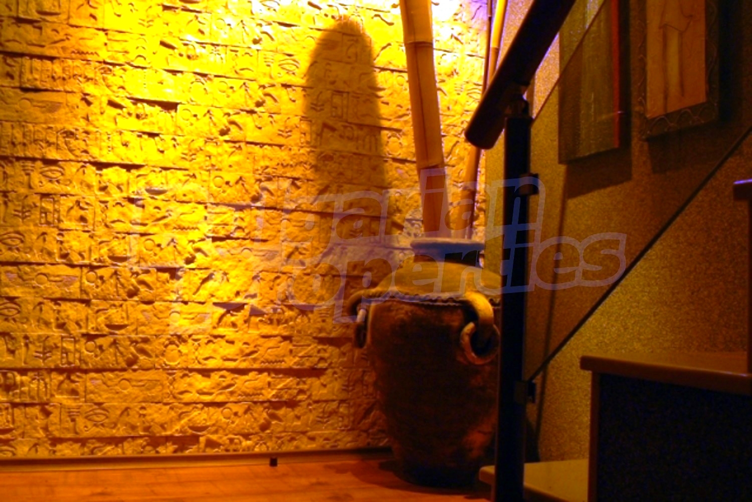 Gallery Picture 37