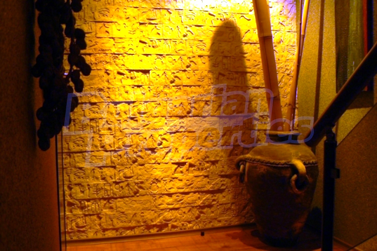 Gallery Picture 38