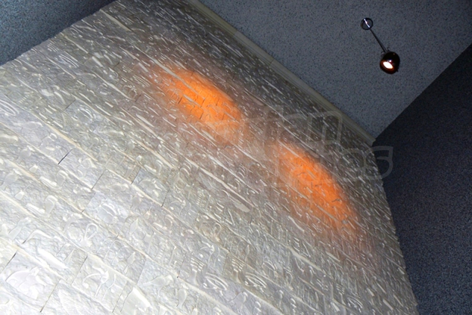 Gallery Picture 39