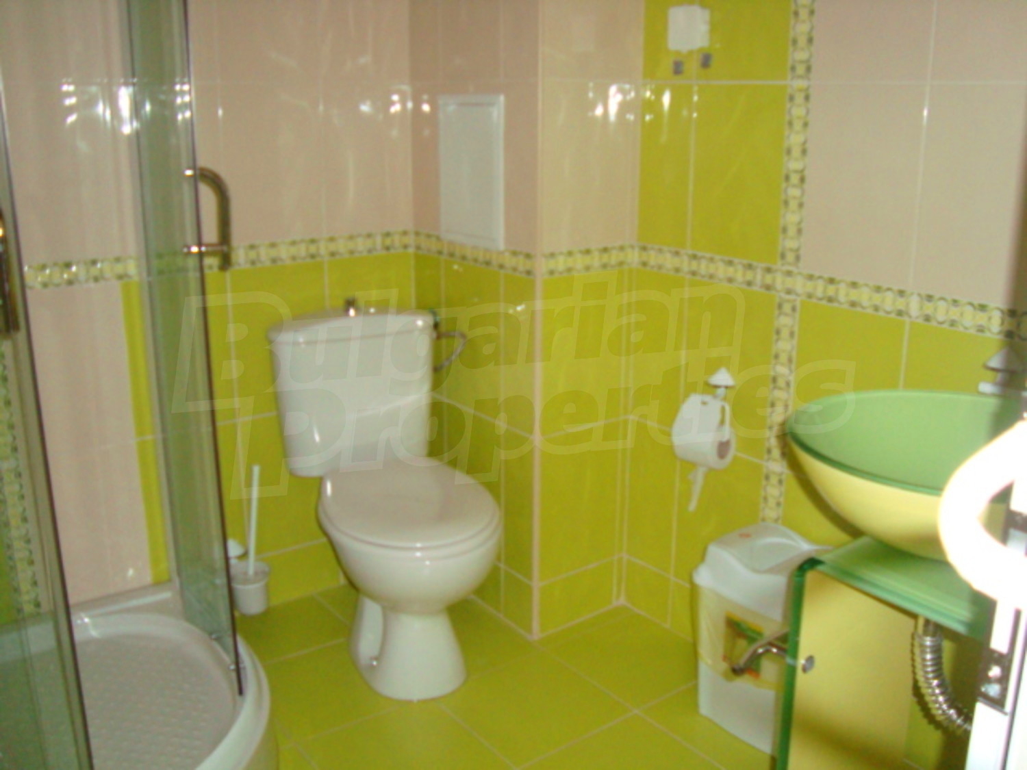 Gallery Picture 15
