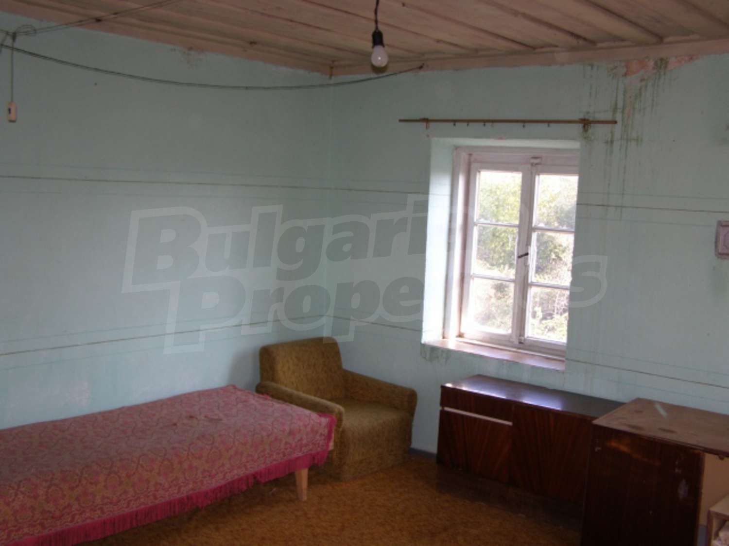 Gallery Picture 10