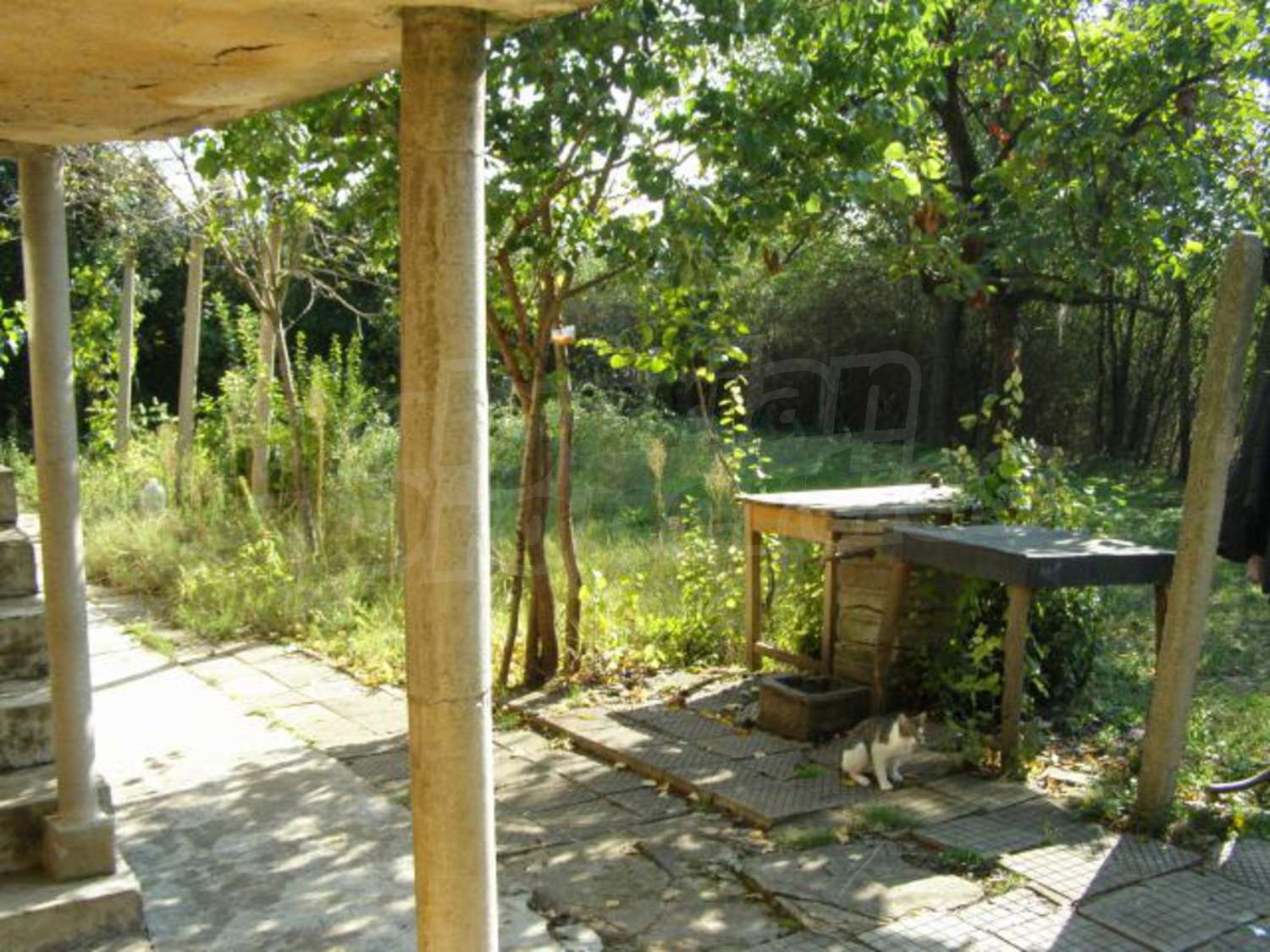 Gallery Picture 12