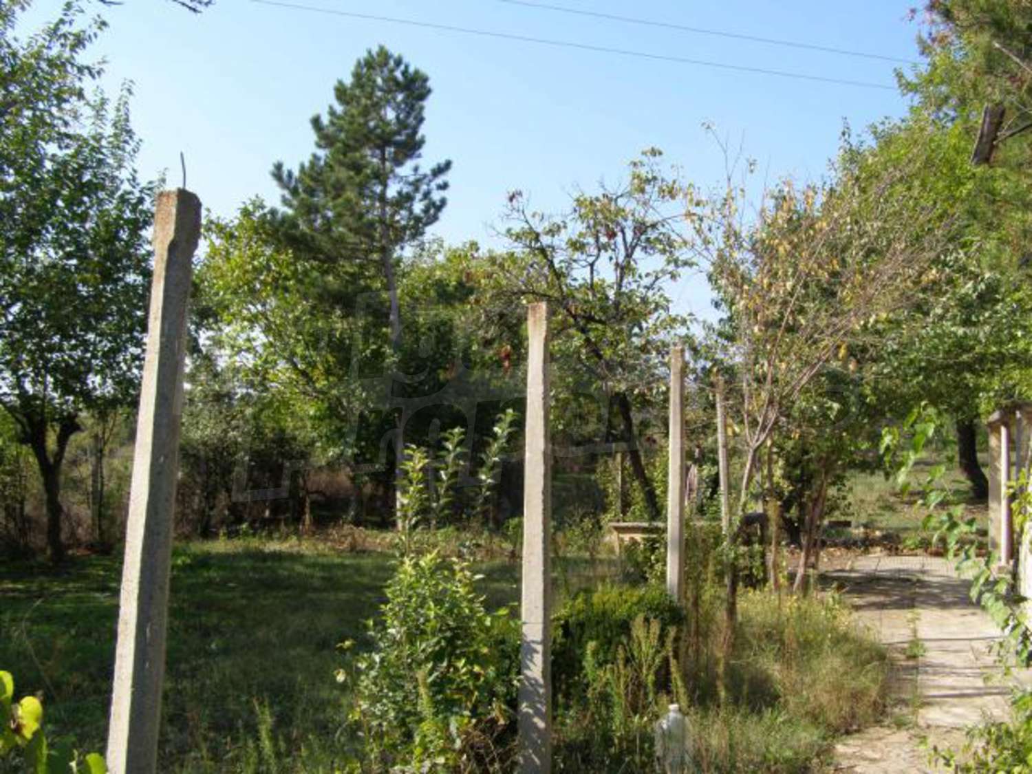 Gallery Picture 14