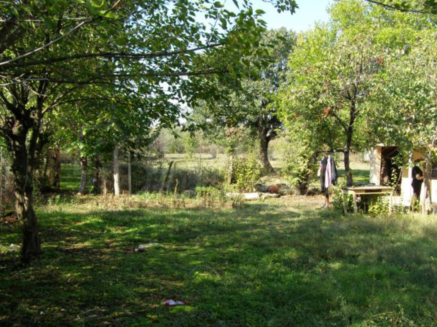Gallery Picture 15