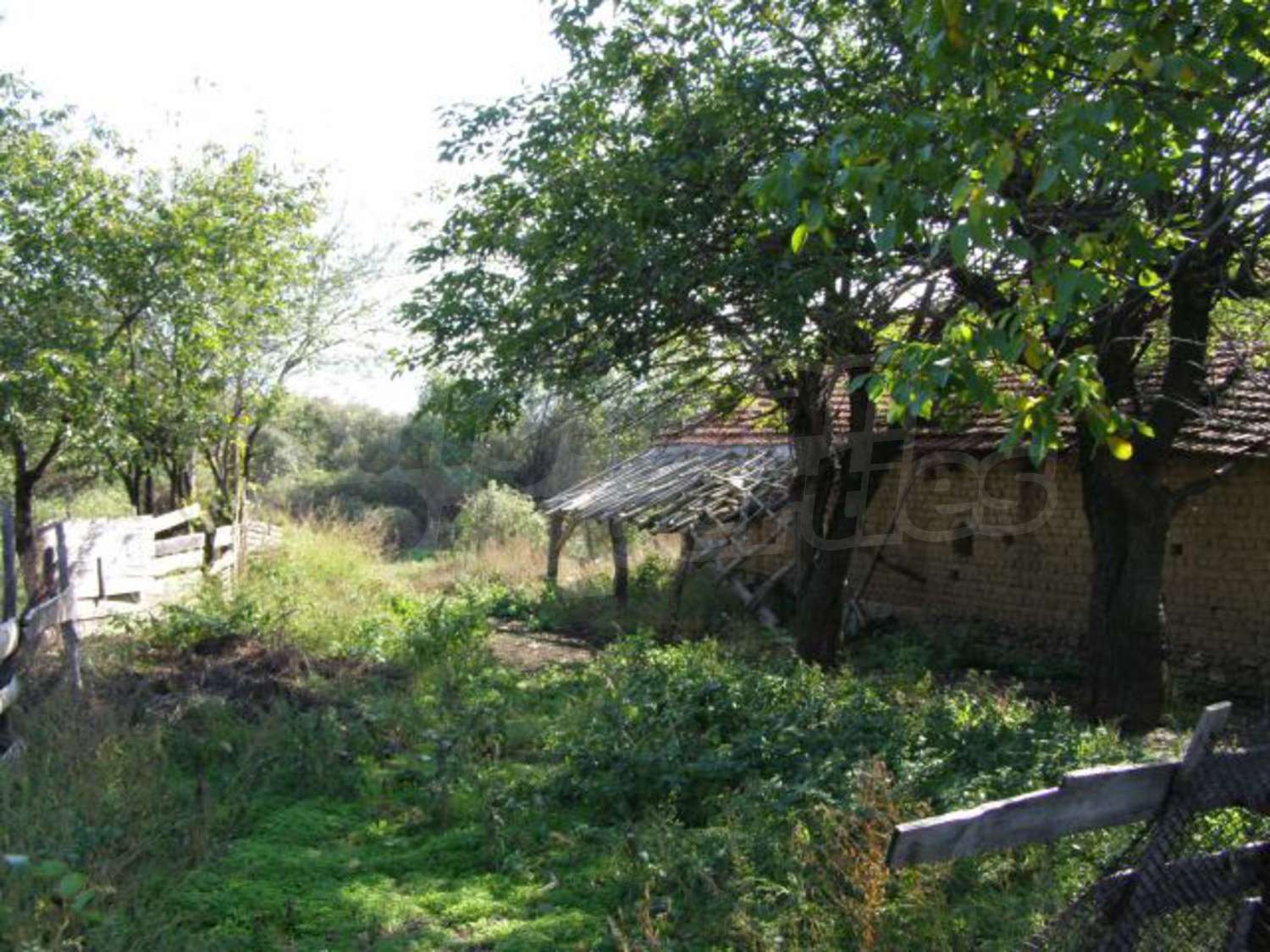Gallery Picture 18