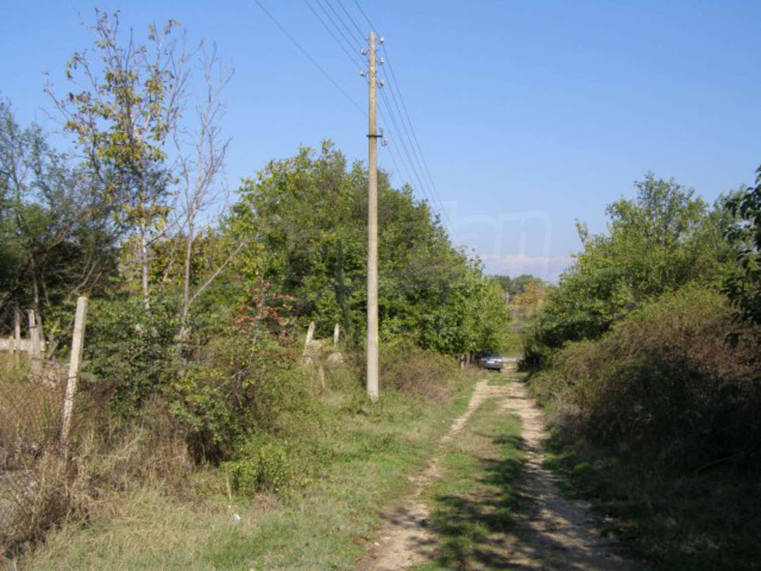 Gallery Picture 27