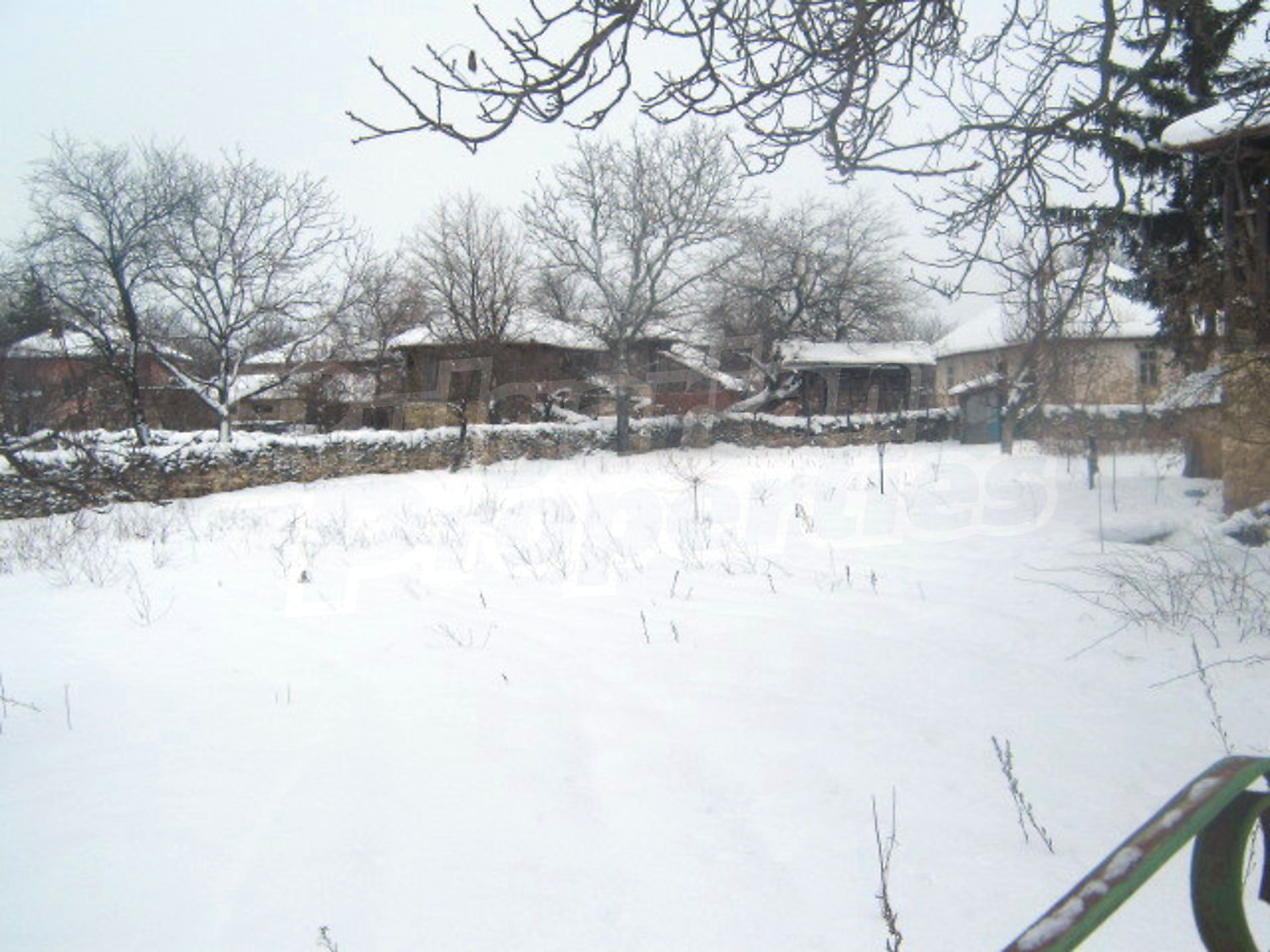 Gallery Picture 7
