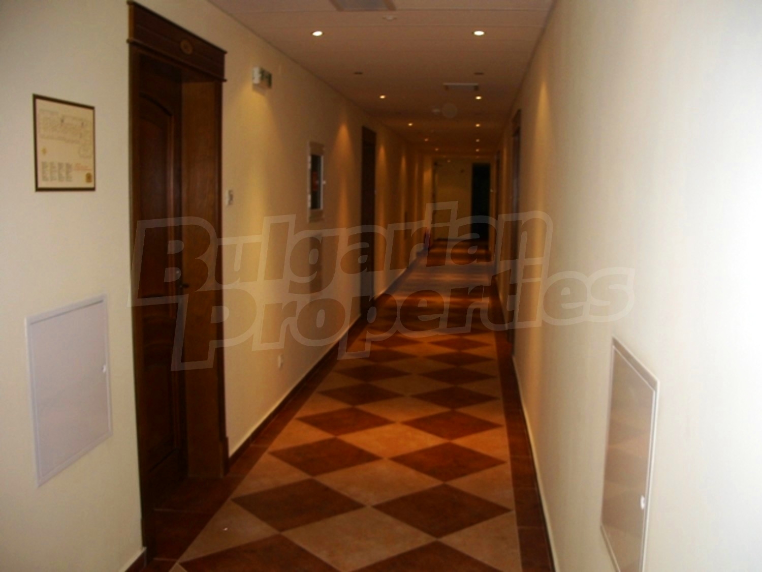 Gallery Picture 28