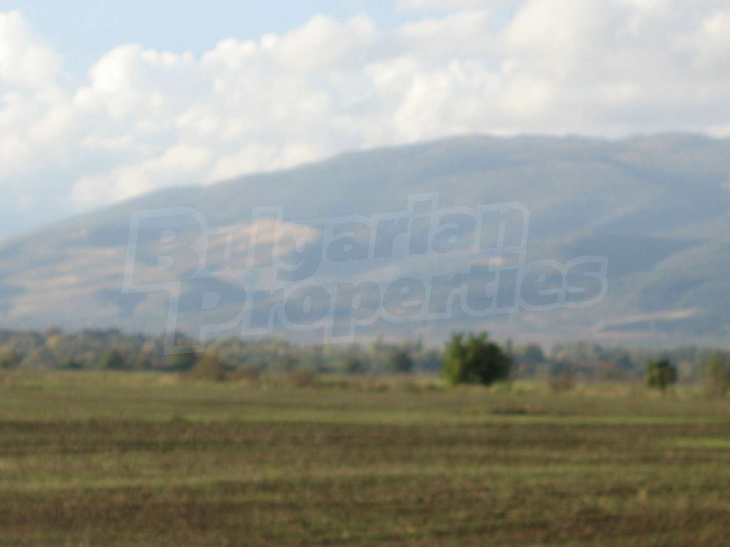 Gallery Picture 8
