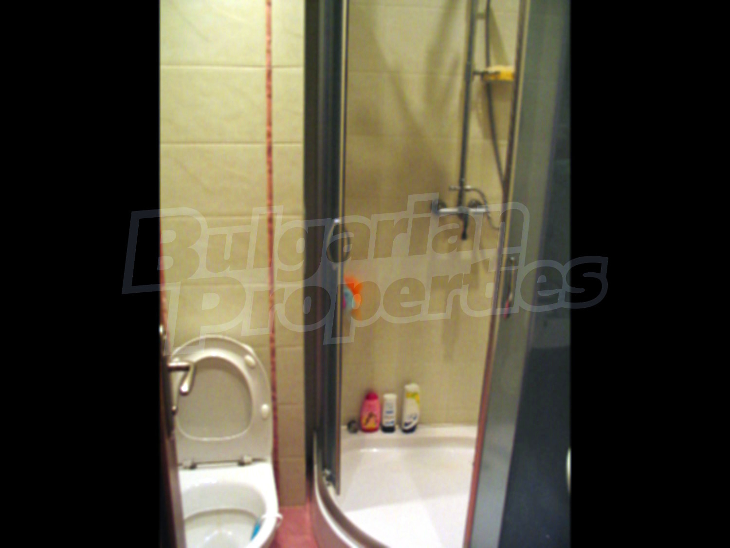 Gallery Picture 10